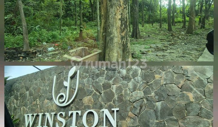 Dijual Lahan Jati Berikut Pohon Di Cisauk Dekat B S D