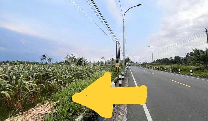 Dijual Kavling Dekat Candi Borobudur Jawa Tengah