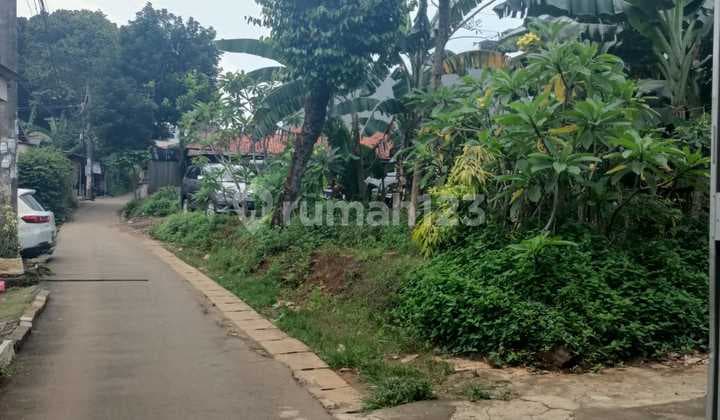 Di Jual Tanah Murah Banget di Daerah Nusa Loka BSD.