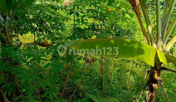 Bsd/Serpong Sangat Murah Luas 1005M²/Serpong Buaran- Dekat Unpam,Toll Ciater.
