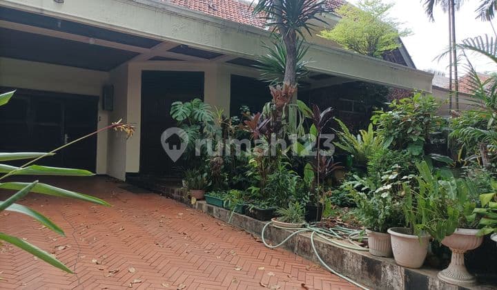 Pejompongan Raya,Benhil Rumah Tua,Jual Murah-