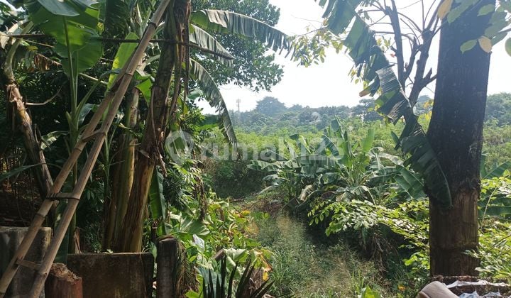 Tanah 2Ha-Murah Dekat Trans Studio Mall Cibubur