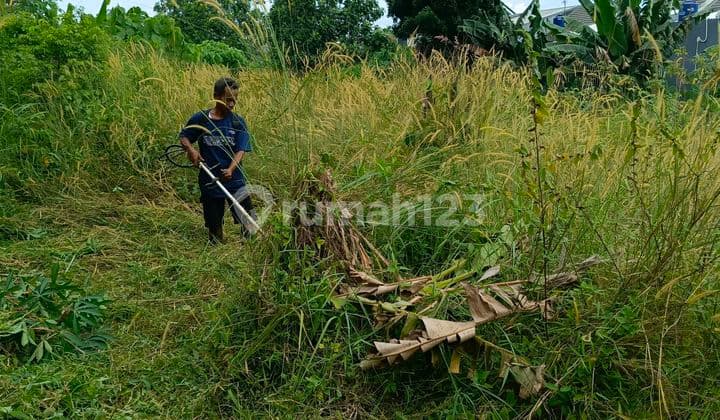 Serpong/Tanah Kebun1005m² Super Murah Bebas Banjir