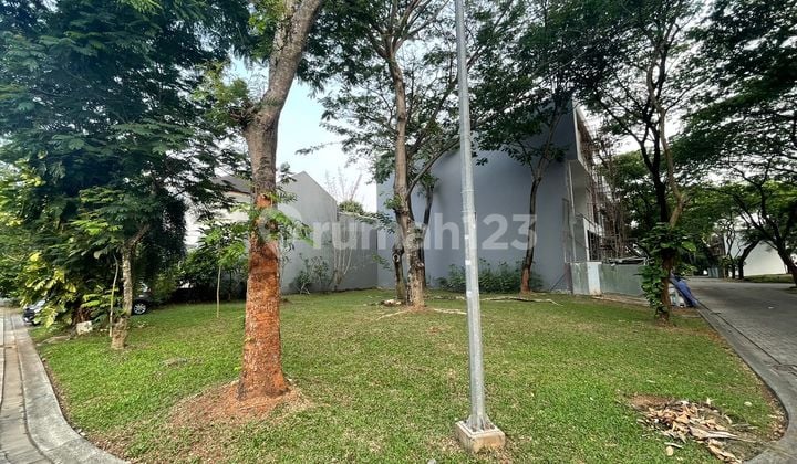 Green and Scenic Green Cove BSD Area Square Hook Plot Land