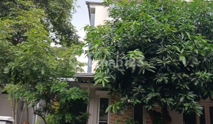 "For Sale Quick Ready-to-Move-in House at Thomson Summarecon Gading Serpong"