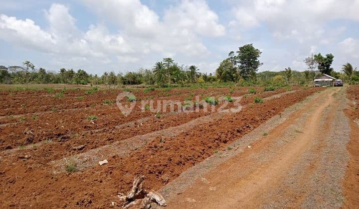 Dijual cepat tanah pertanian diSukabumi