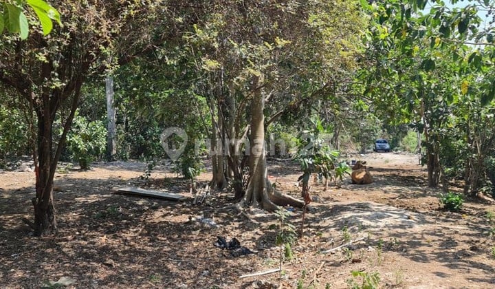 FOR FREEHOLD LAND IN THE GREAT AREA SEMINYAK