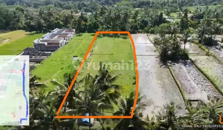 Prime 3.130 sqm of Leasehold Land with Stunning Rice Field Views in Ubud - Walking Distance from Empathy School