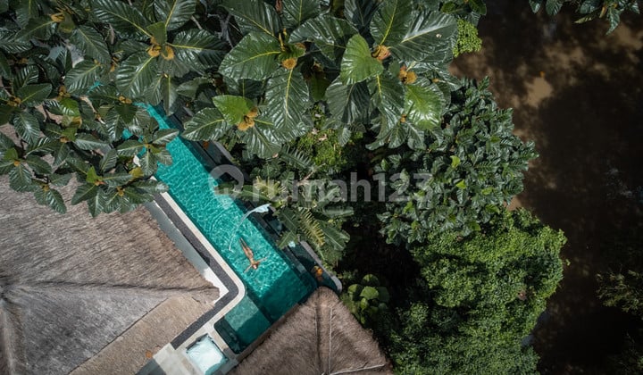 Leasehold - Peaceful Riverfront Sanctuary Surrounded By Lush Tropical Jungle In Cepaka, Bali