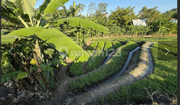 Leasehold - Rare Riverside Leasehold Land In Padonan, Canggu Area