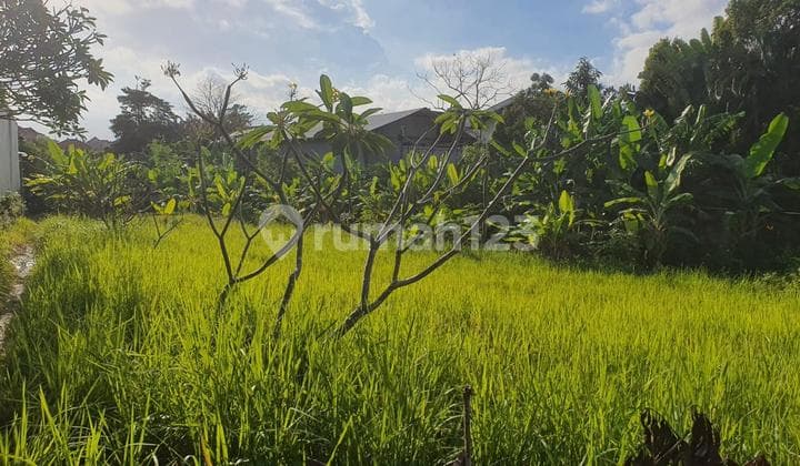 Leasehold - Rare Opportunity! 10 Are Land in prime area, Canggu, Bali
