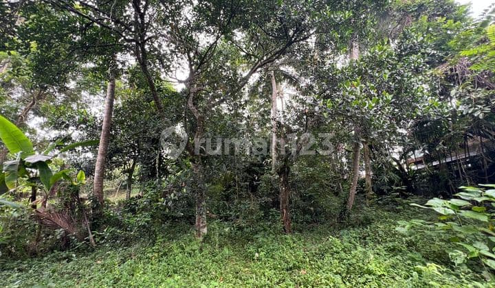 Exceptional Leasehold Land in Ubud - 19 Are Prime Land with Peaceful "Jungle View" near Ubud Center