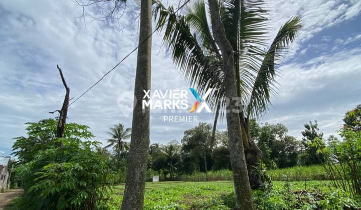 Tanah Tegalan Siap Bangun di Desa Kedungrejo Pakis Malang