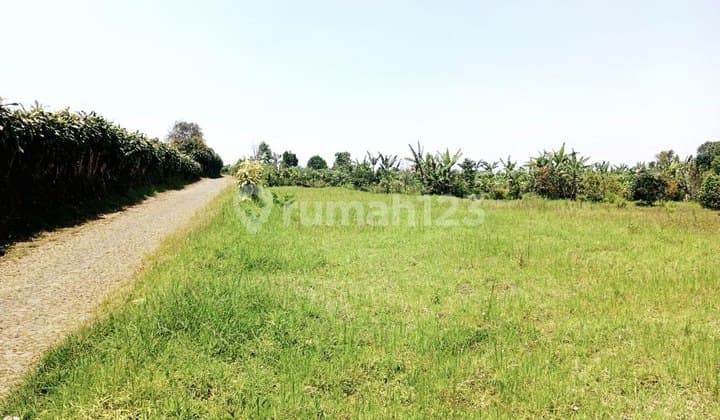 Wide Land for Villa + Special View in Bulukerto, Batu City