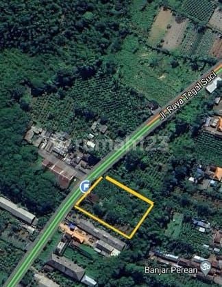 Jual tanah di jl raya tegal suci bali..di lewati kalo ke kintamani,gunung batur