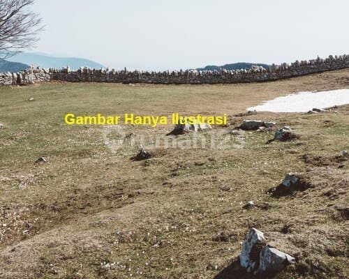 Dijual Lelang Tanah Kosong Sunter Agung, Jakarta Utara