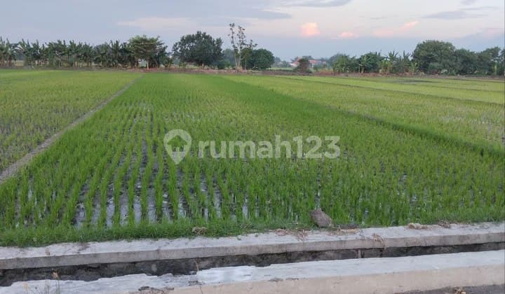 Tanah 0 Jalan Raya Magersari Mojokerto Kota