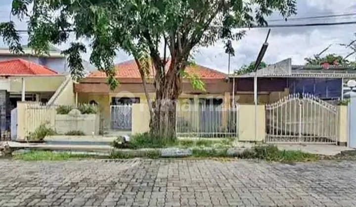 Dharmahusada Utara Hitung Tanah Dekat Kalijudan Surabaya