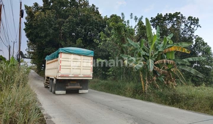 Tanah Strategis di Jalan Raya Parung Panjang Rumpin Bogor