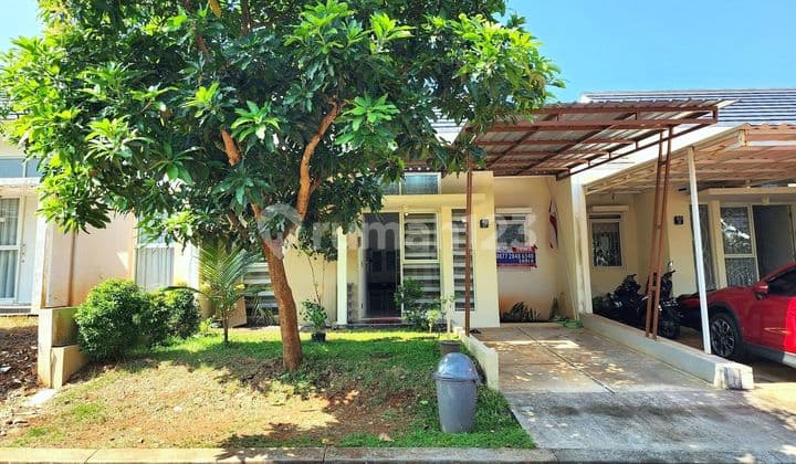 BSB City Furnished House in the New Forest Hill, ready to move in.