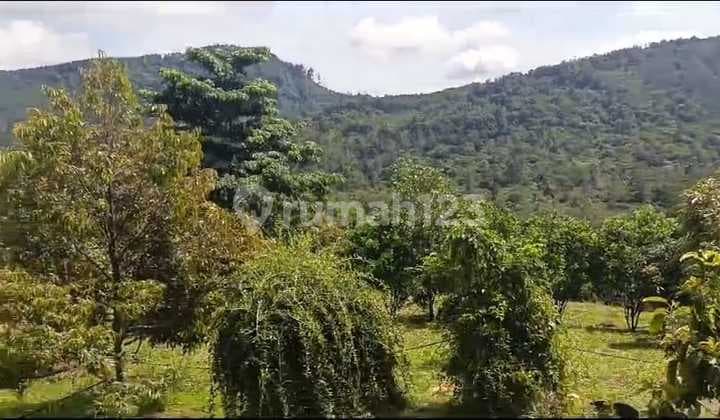 Dijual Tanah Murah Daerah Subang