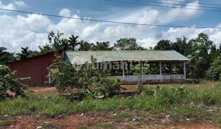 Tanah Luas Di Tepi Jalan Raya Trans Kalimantan Km 50