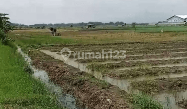 Lahan Rejoso Gondang Nganjuk, (MLORA) Cocok Untuk Industri, Akses Kontainer