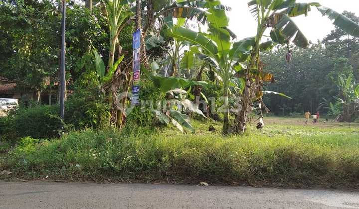 Tanah strategis siap bangun di jl raya Muntal boja kaliwungu
