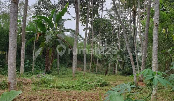 Tanah strategis siap bangun tengah kota Salatiga