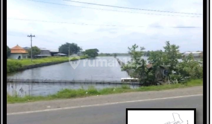 Strategic Industrial Land on Kaliwungu Arterial Road with SHM Strategic Industrial Land on Kaliwungu Arterial Road with SHM