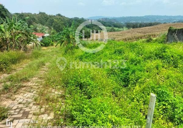 Kavling di Jalan Candi Sewu