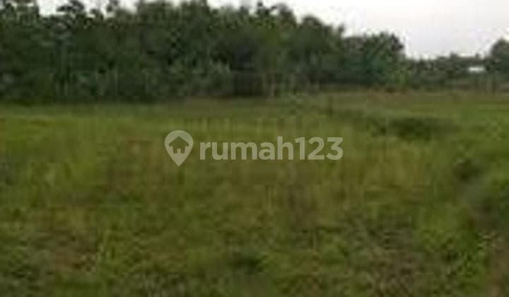 COCOK UNTUK VILLA TANAH LOKASI TRAWAS MOJOKERTO !!