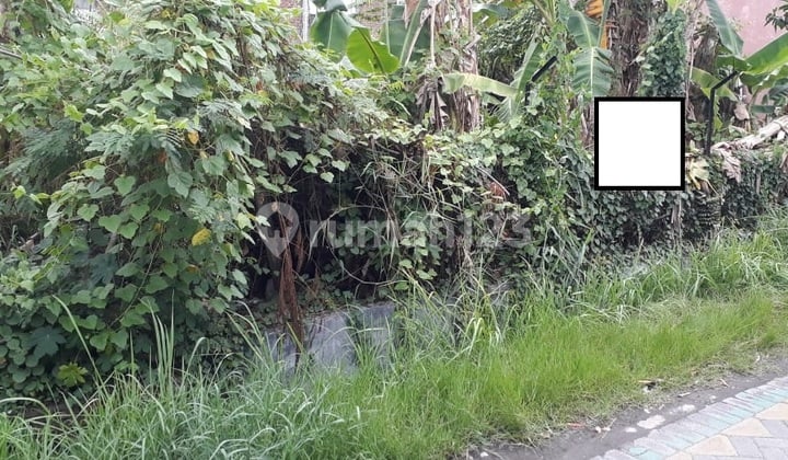 Tanah di Jalan Semampir Surabaya Tanah di Jalan Semampir Surabaya