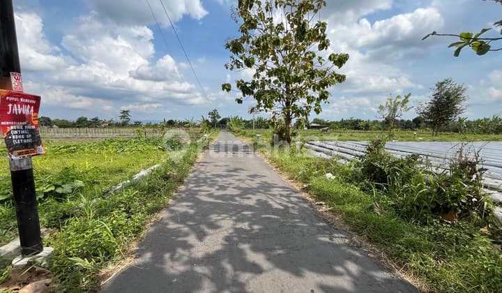 Ngaglik Sleman Jual Tanah Jogja Dekat Kampus UII