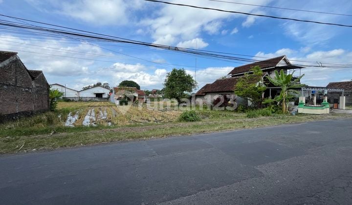 Berbah Tanah Strategis Jogja Cocok Untuk Rumah Tinggal