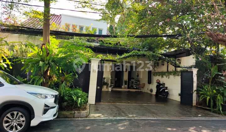 Rumah Elegan Dengan Swimming Pool Pribadi Di Kawasan Elit Menteng