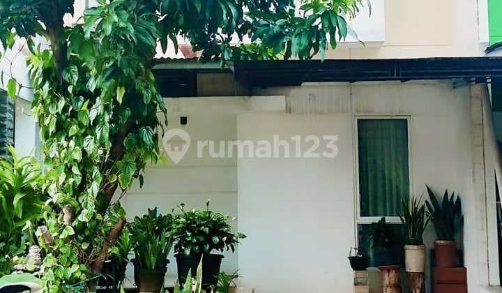 Rumah MURAH Nempel Bintaro - Urbana Ciputat