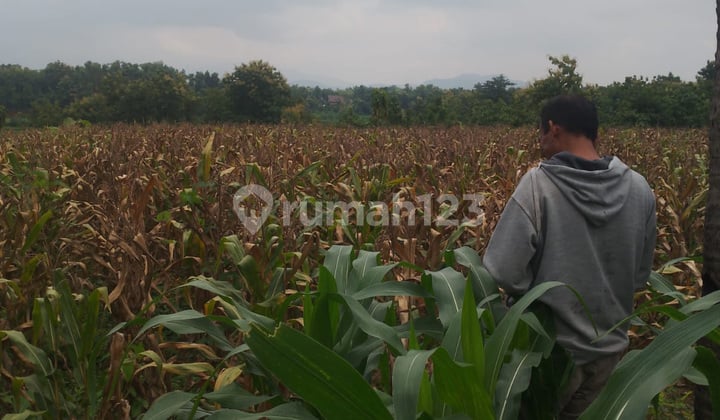 Kavling Murah Siap Bangun dan Cocok Untuk Perumahan @Rembang Jawa Tengah