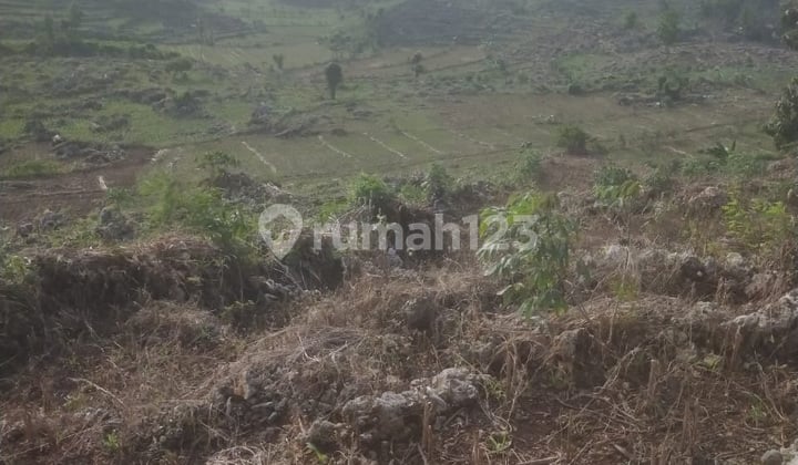 Kavling Murah Siap Bangun dan Cocok Untuk Perumahan @Rembang Jawa Tengah