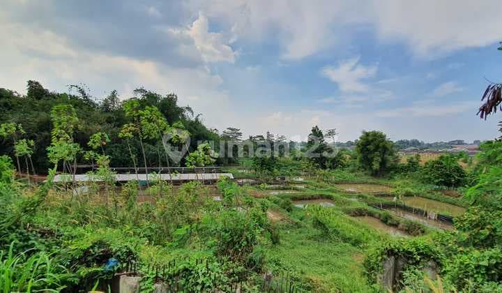 Gan) @Jl Raya Tegar Beriman Tajur Halang, Bogortanah Luas Dipinggir Jl.tegar Beriman / Jl.raya Bomang