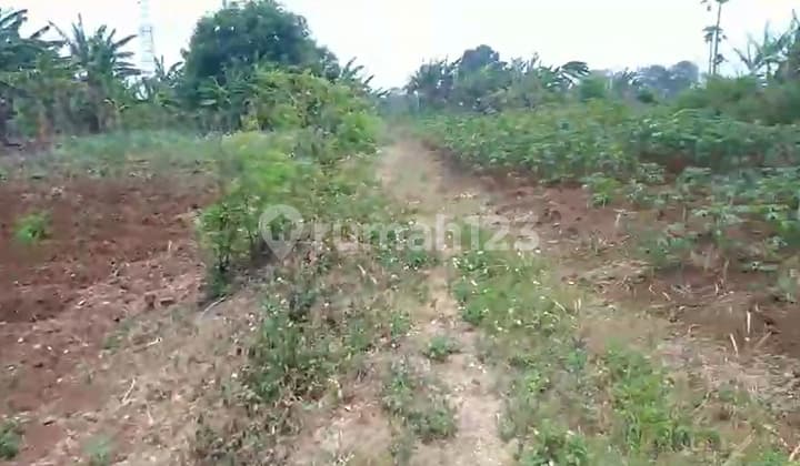 For Sale Industrial Land in Pasar Kemis Tangerang Area 4.3 Ha