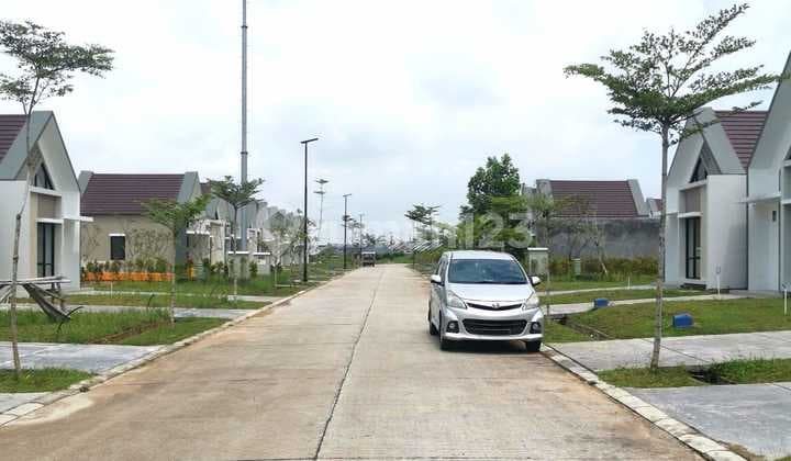 Rumah Baru, Taman/Halaman di Depan, Belakang, dan Samping Rumah, Club House