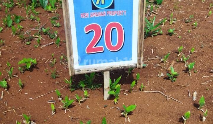 TANAH MURAH DP 60 JUTA DI ANGSUR 12 BULAN DEKAT KEBUN BUAH CEPOKO GUNUNG PATI