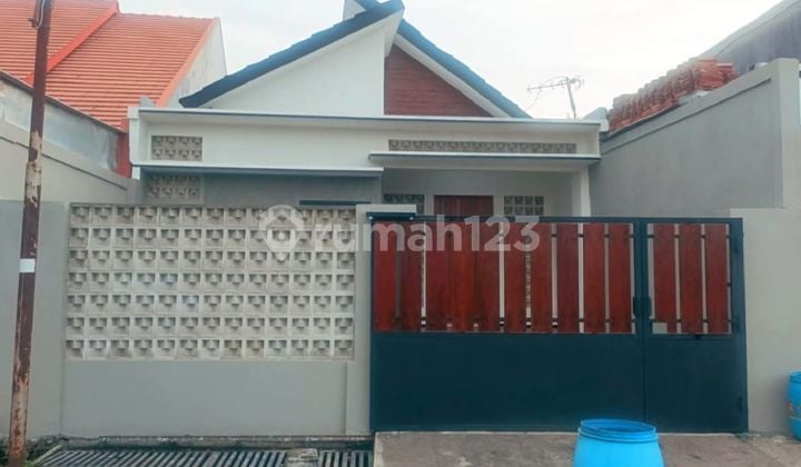 Rumaj Ready Kuat Kokok di Manyaran Semarang