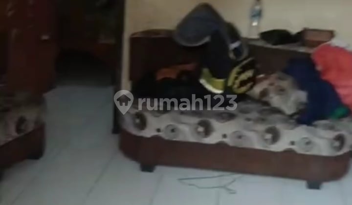 Cicadas House Only one house away from the car road