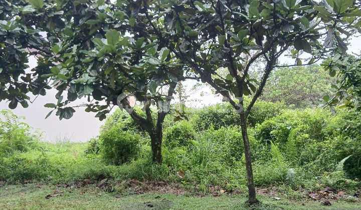 Di Jual Kavling Sertipikat View Gunung Salak Sentul City Bogor