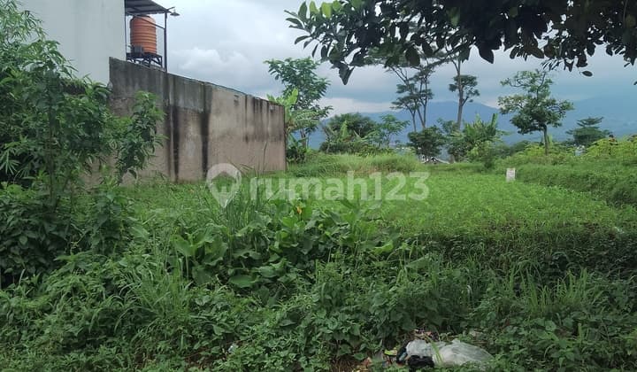 MURAH! BU! Tanah kebun, bisa untuk invest/gudang/perumahan