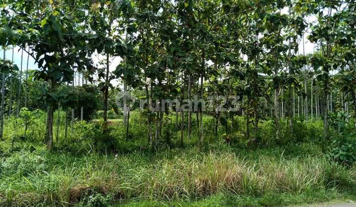 Tanah Datar Siap Bangun Pinggir Jalan Zona Kuning