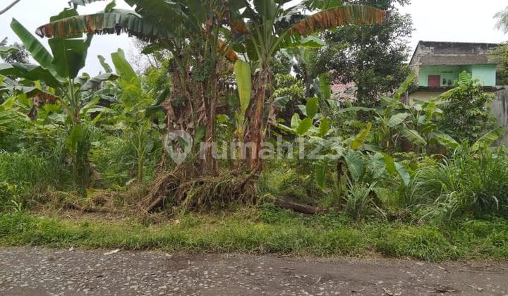 Land Ready to Build Square Near IPB Campus