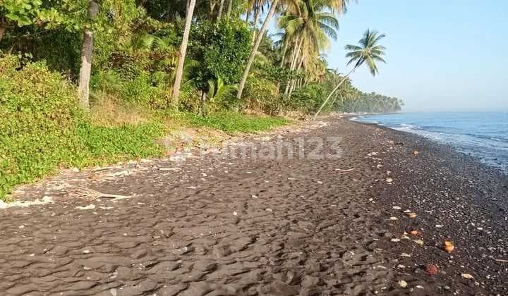 Tanah SHM 46 m2 Singaraja, Buleleng